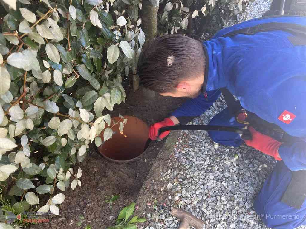 Rioolvliegjes Purmerend Rioolvliegjes Purmerend